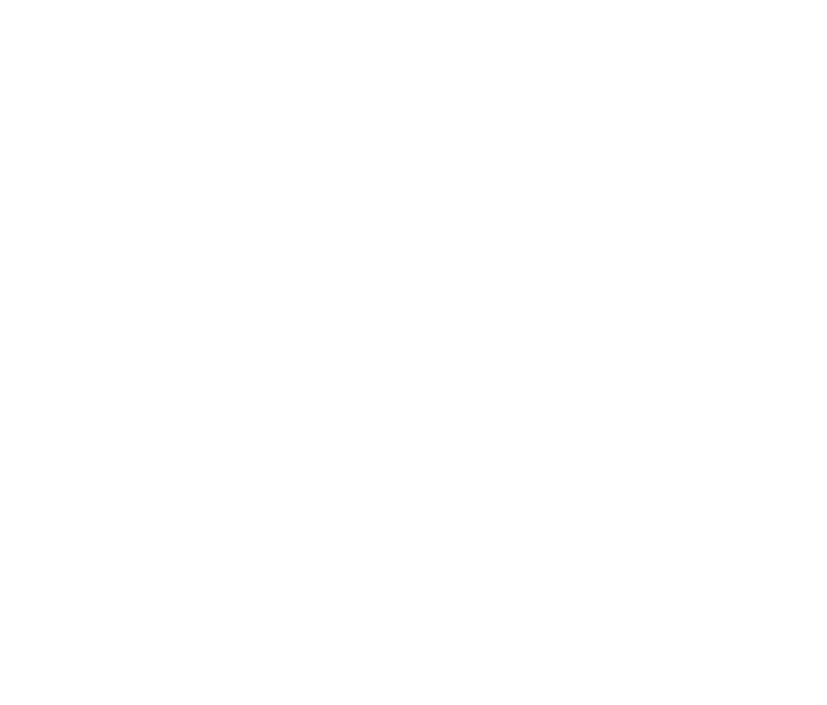 logoz10